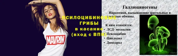 дурь Богданович