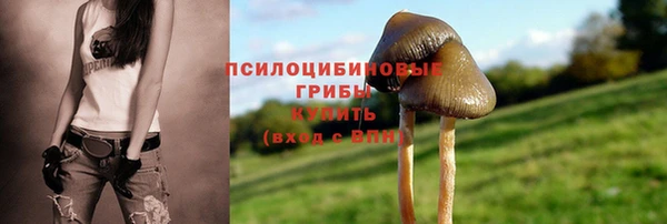 ешки Богородицк