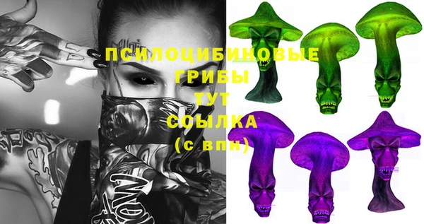 кокс Бородино