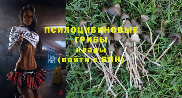 дурь Богданович