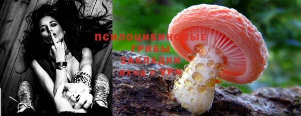 дурь Богданович