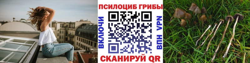 Псилоцибиновые грибы мухоморы  Тобольск 